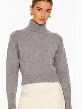 Aritzia 100% Cashmere Grey Turtleneck Sweater Size S The Group by Babaton 
Ty